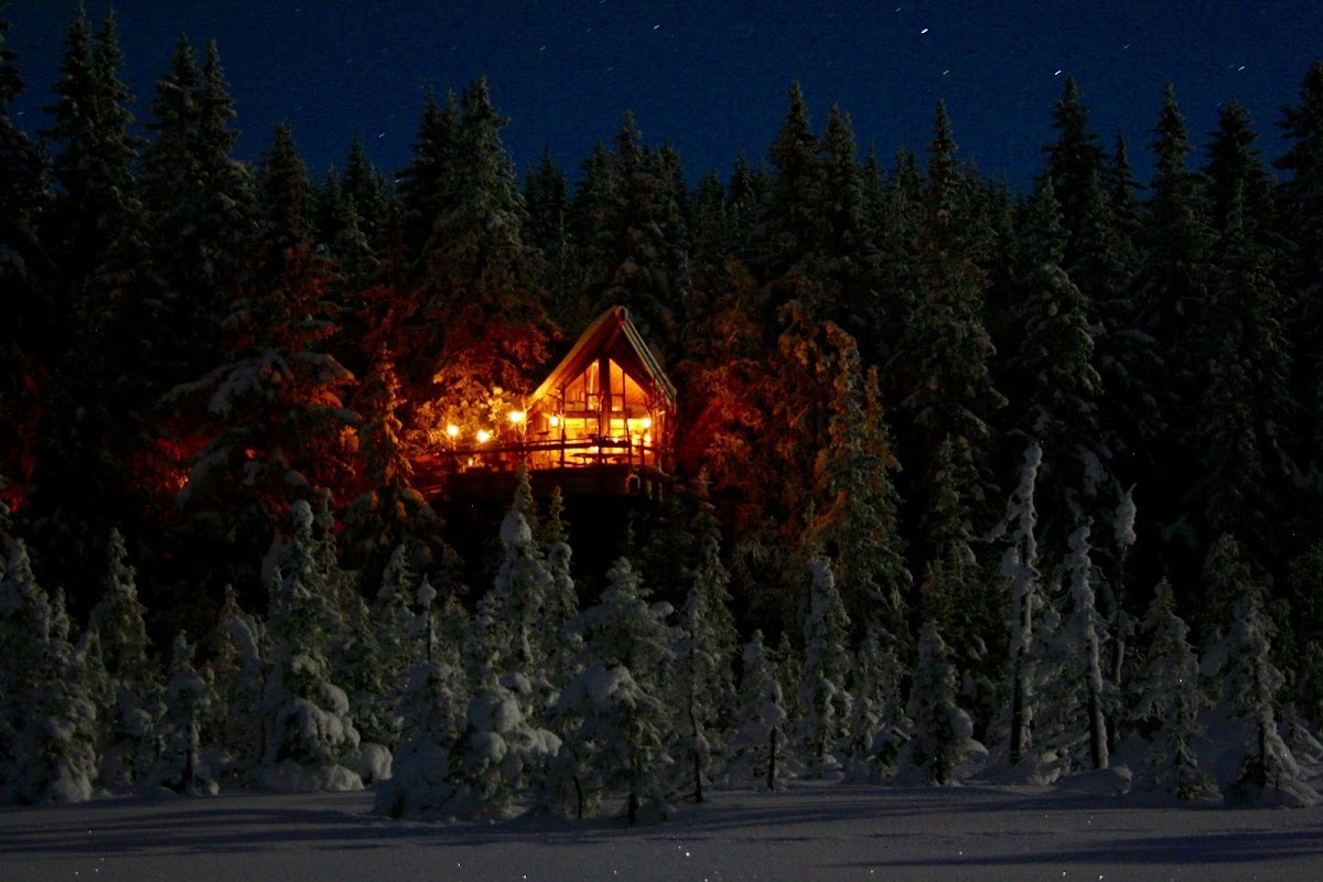 Tretopphytter - Tree Top Hut - Treehouse